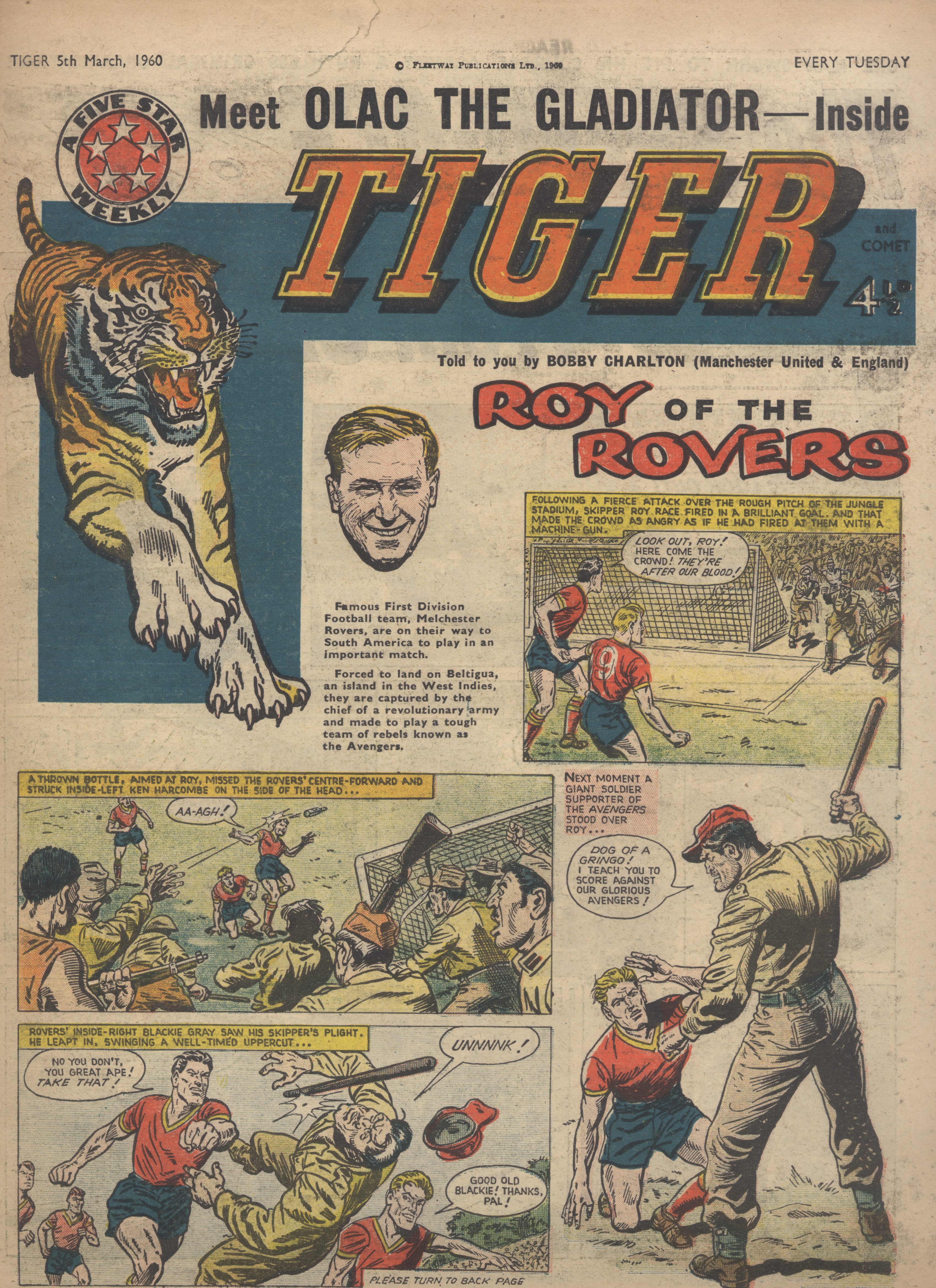 Tiger